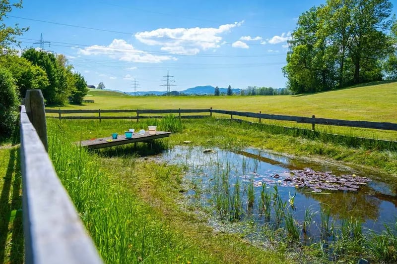 Camping Öschlesee gallery 1