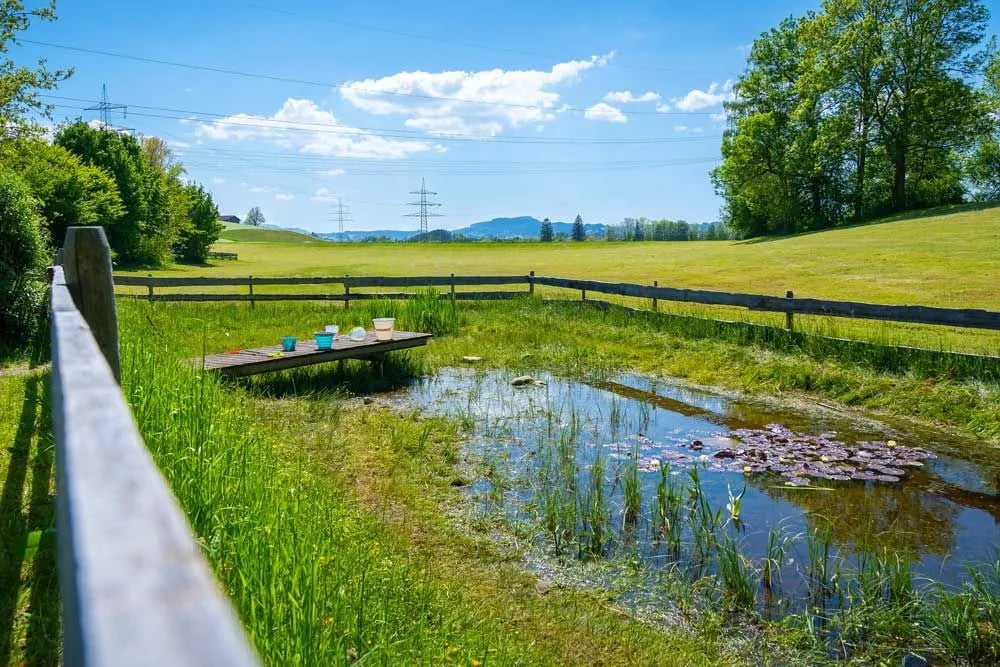 Camping Öschlesee gallery 1