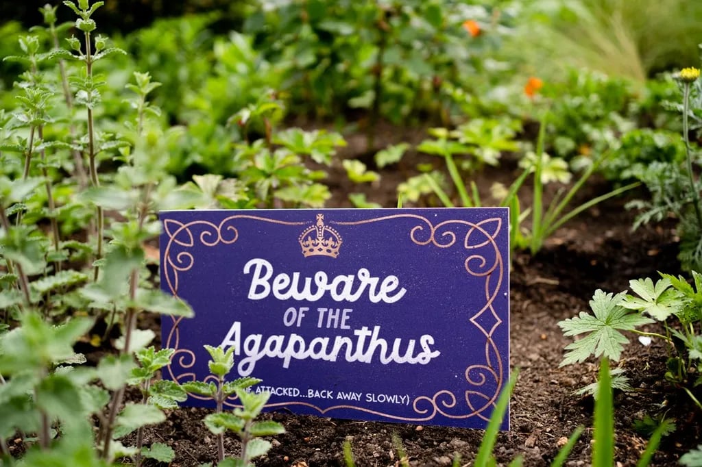 Six Mile Water Caravan Park gallery 3