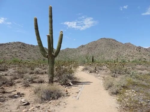 White Tank Mountain Regional Park gallery 3
