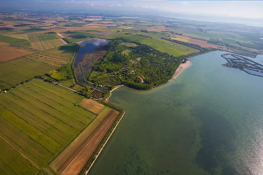 Campeggio Belvedere Pineta gallery 1