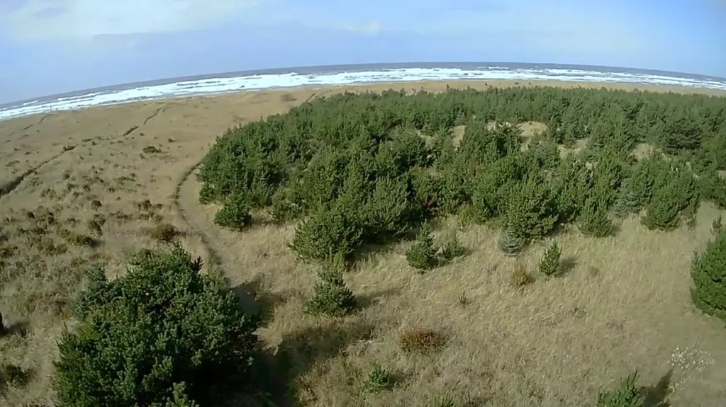 Cedar to Surf Campground gallery 3