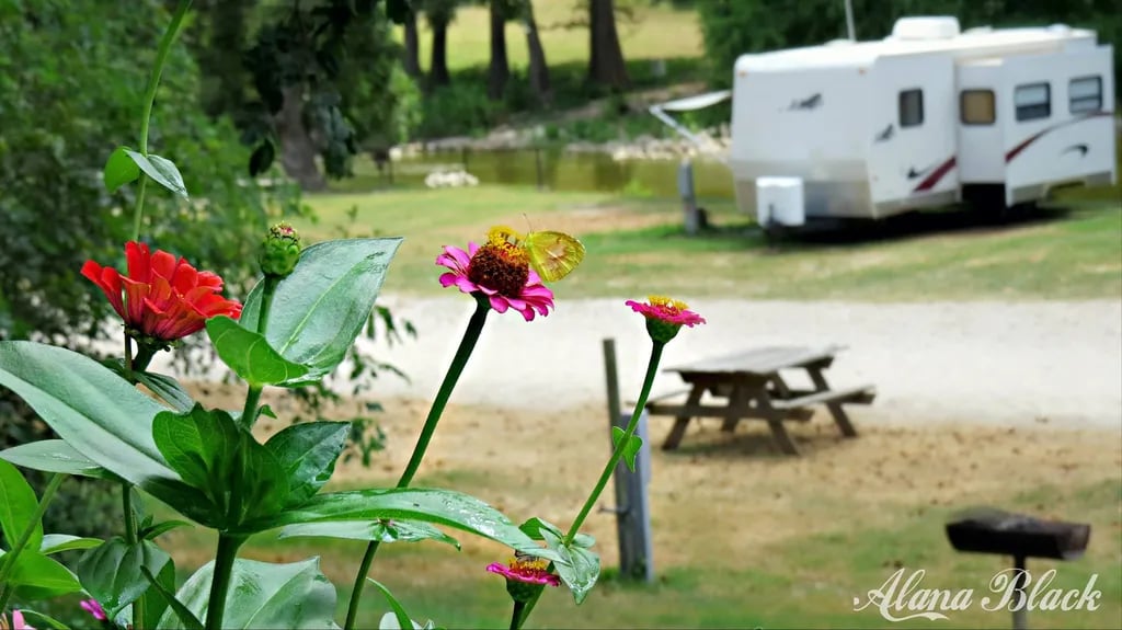 River Road Camp gallery 1