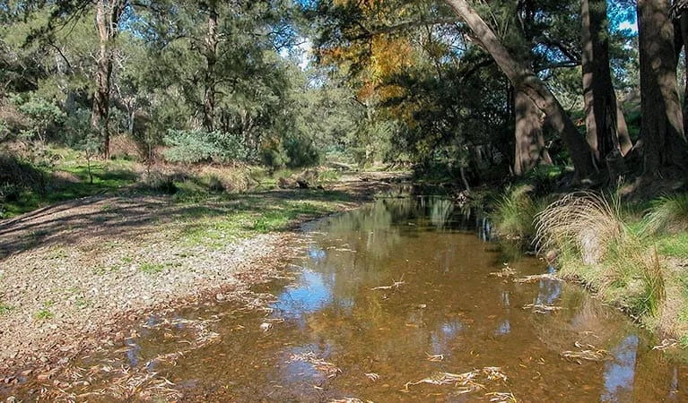 The Diggings campground gallery 2