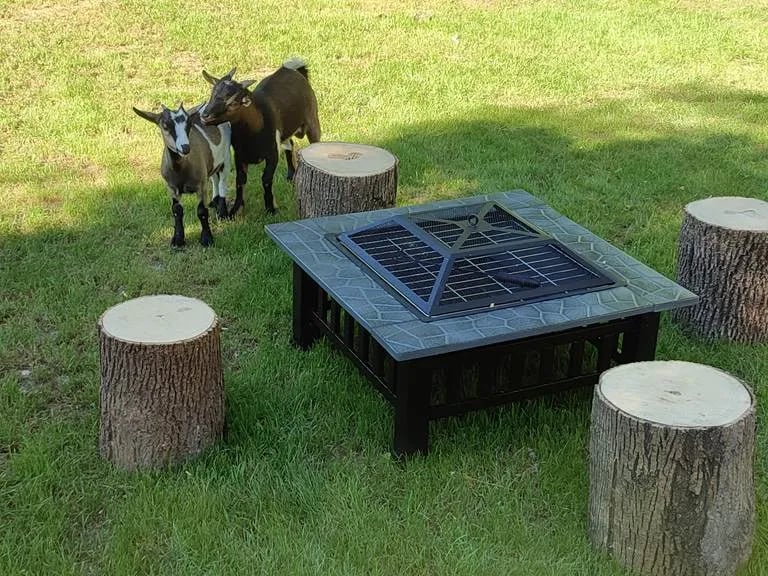 Bulles d’Auvergne gallery 3