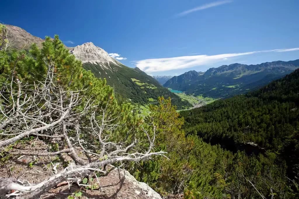 Camping Boomerang gallery 1