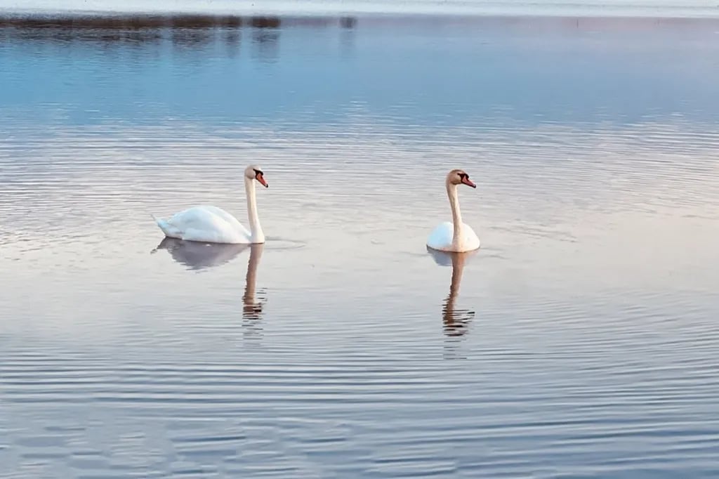 Ty Hen Holiday Park gallery 3