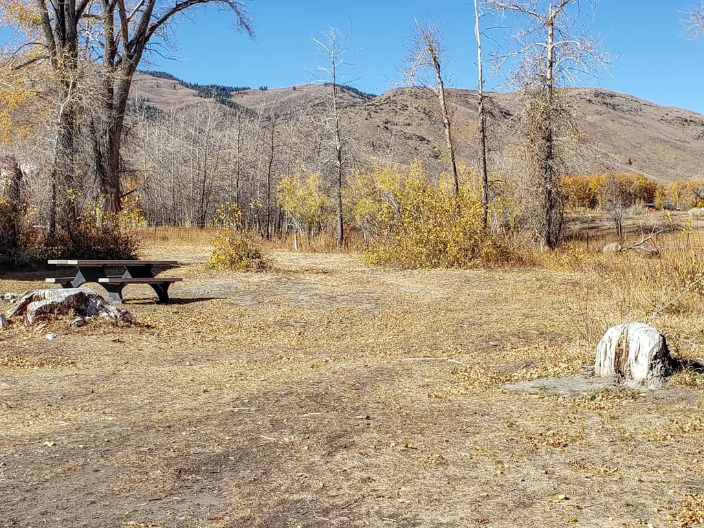 Mackay Tourist Park gallery 2