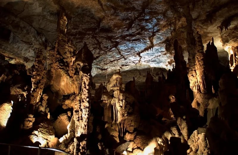 Cathedral Caverns State Park Campground gallery 3