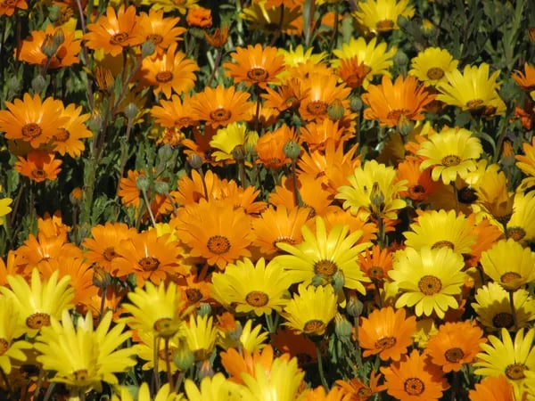 Tier Drop RV Park gallery 2