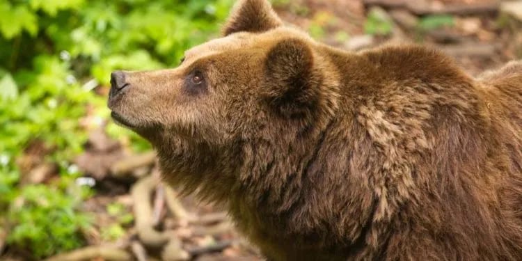 Comfort-Camping Seeburger See gallery 2