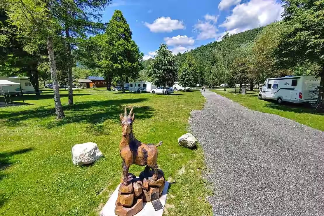 Camp Danica gallery 3