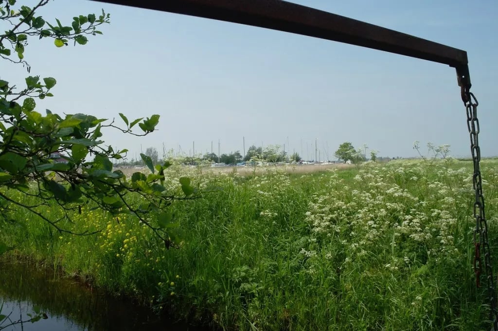 De Swaenebloem gallery 3