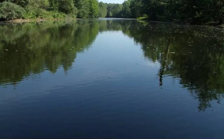 Finger Lakes State Park Campground