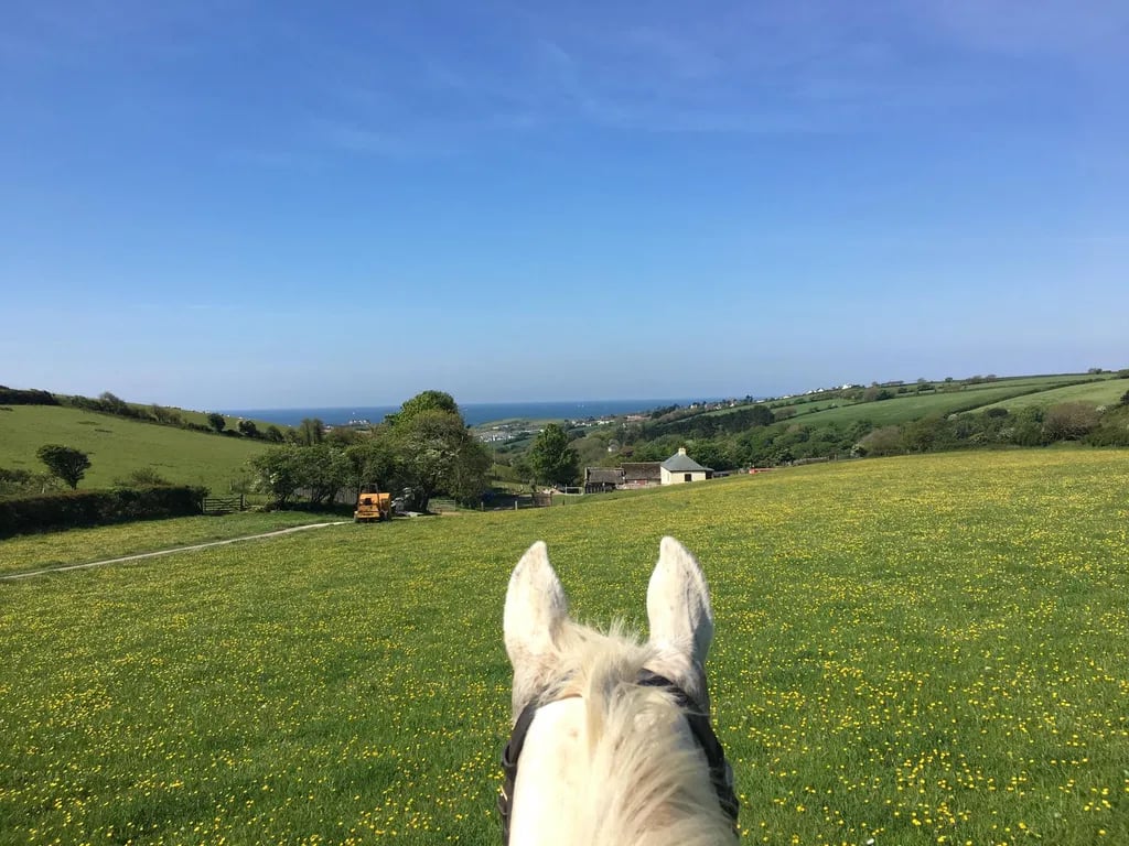 Eden Camping gallery 1