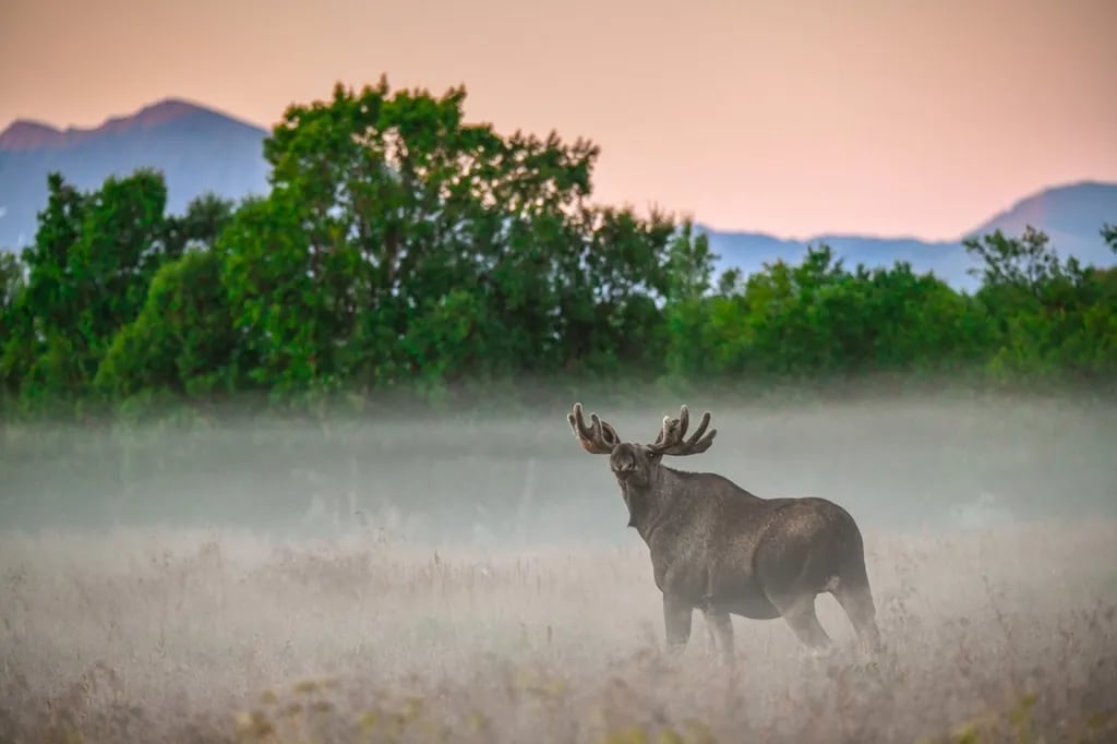 Sortland Camping Og Motell gallery 1