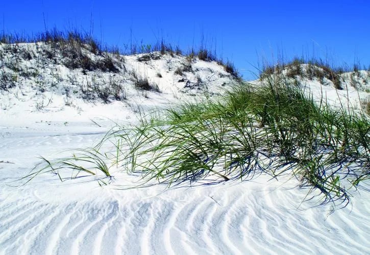 Little Talbot Island State Park Campground