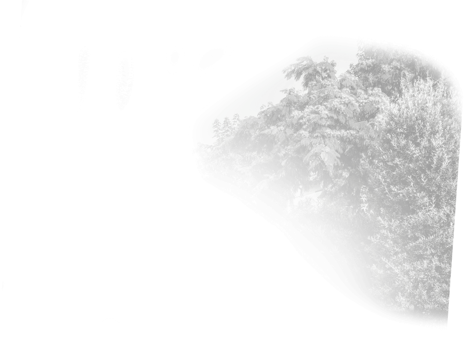 Camping Enzo Stella Maris gallery 2