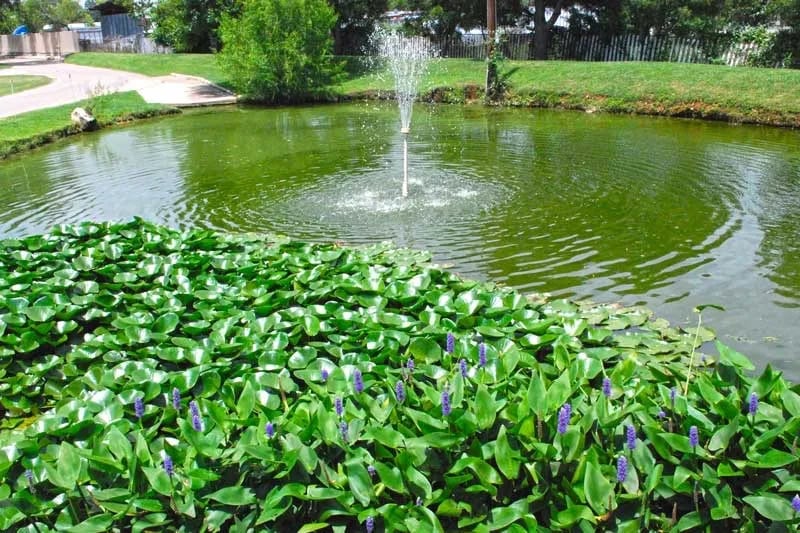 Fredericksburg RV Park gallery 1