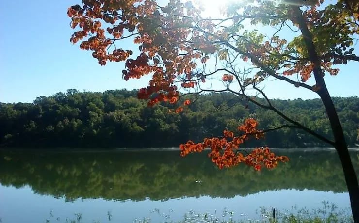 St. Joe State Park Campground gallery 1