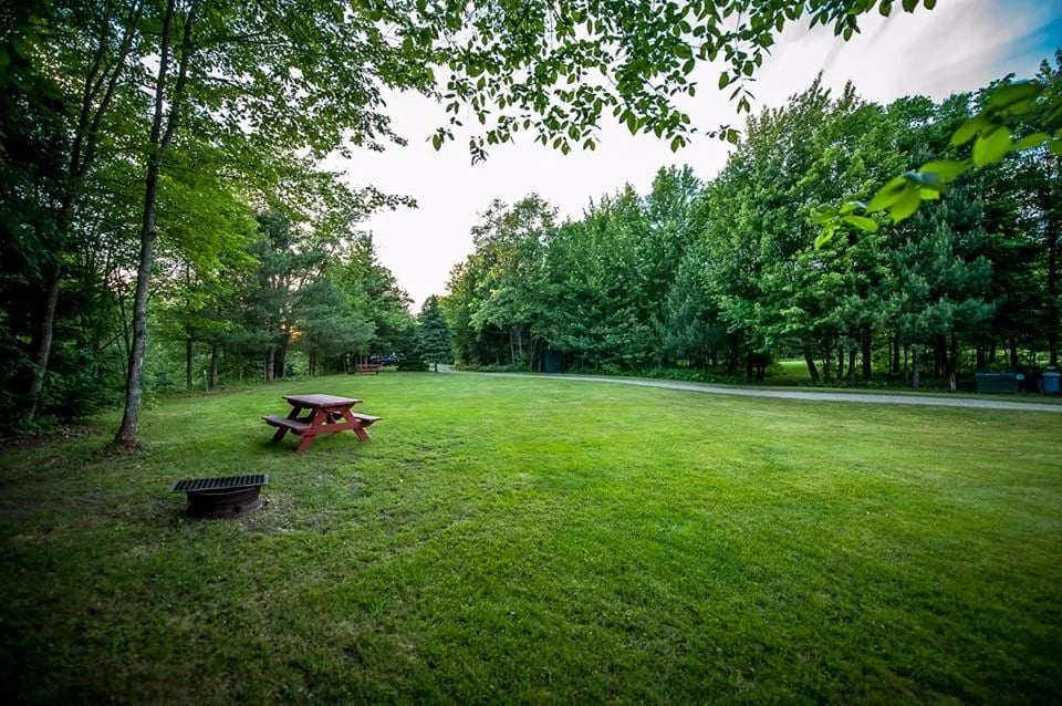 Clear Stream Campground gallery 2