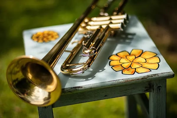 Hilton Court Campsite gallery 3