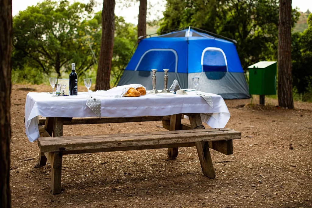 חניון לילה חוות משמר הכרמל gallery 2