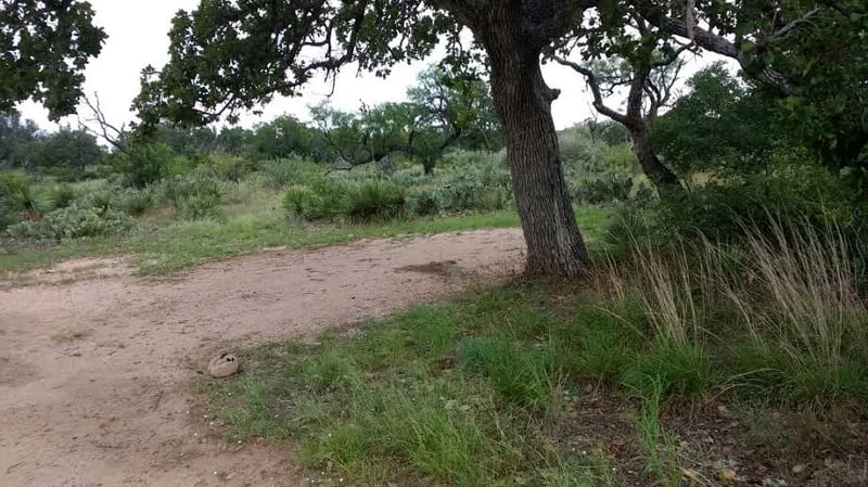 Moss Lake Area — Enchanted Rock State Natural Area