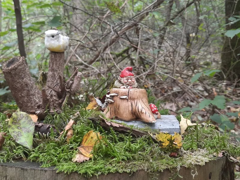 Camping Jena gallery 2