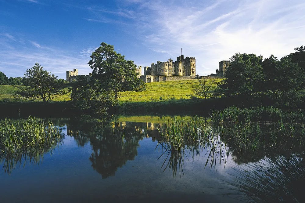 Proctors Stead Caravan Park gallery 3