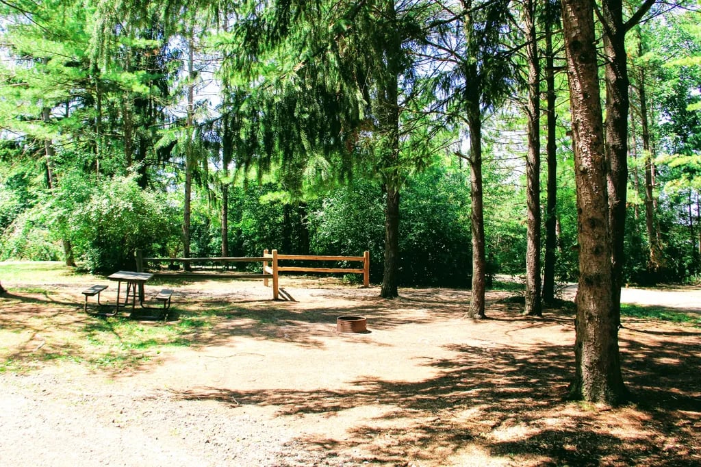 Yogi Bear’s Jellystone Park™ Camp-Resort at Caledonia gallery 2