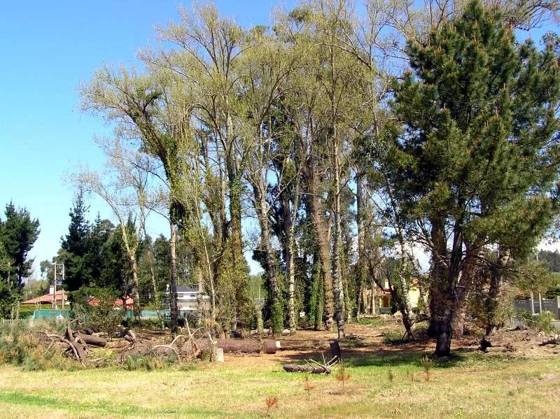 Camping el Raso gallery 2