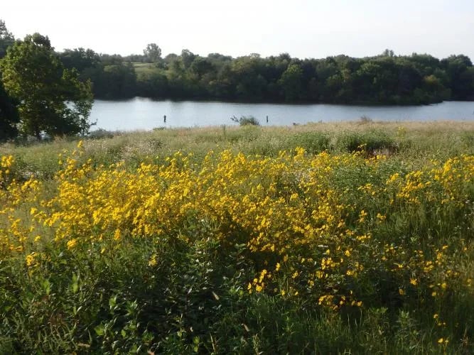 Pony Express Lake Conservation Area