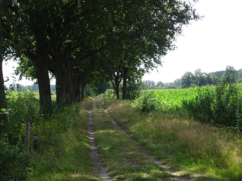 ‘T SKÔNSTE PLEKSKE gallery 3