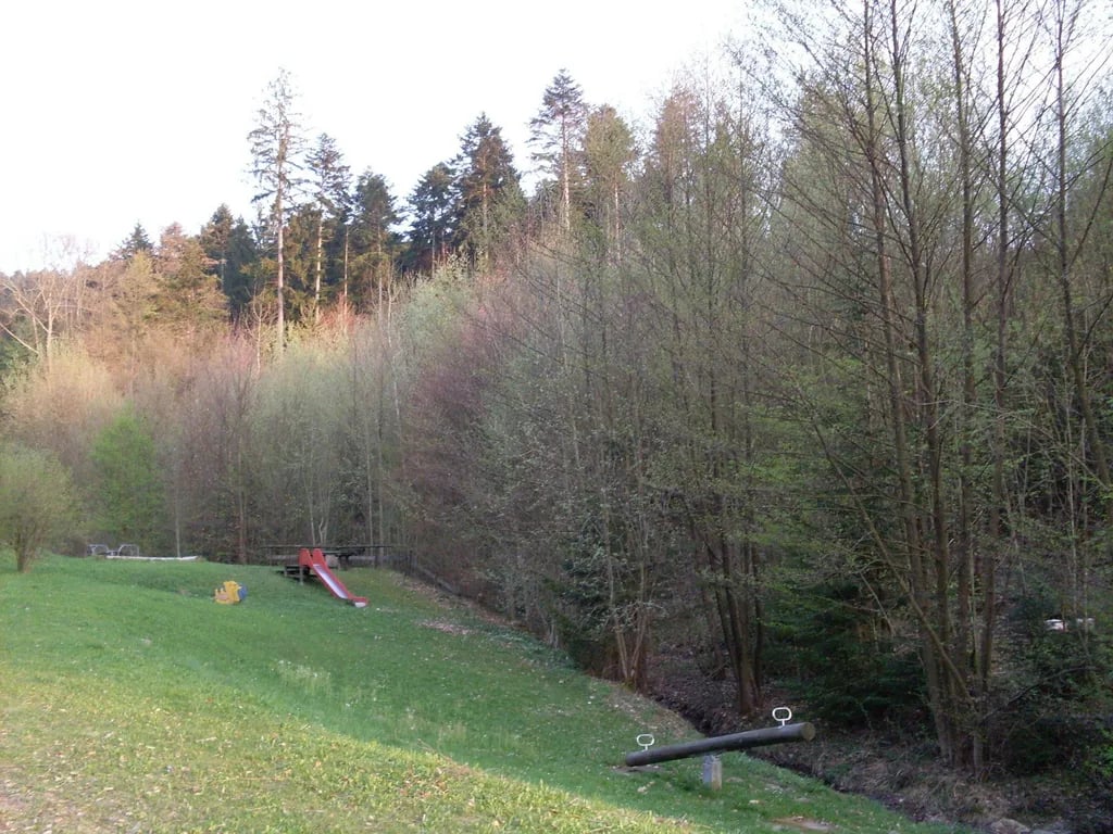 Camping Waldsee gallery 1