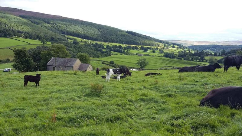 Howarth Farm gallery 1
