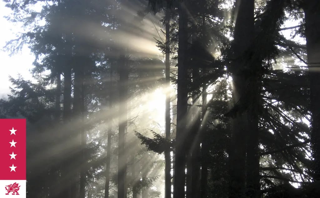 Mill House Caravan Park gallery 3