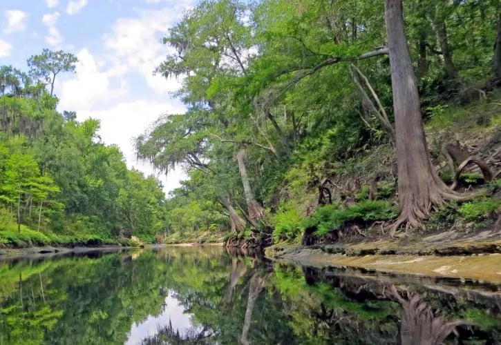 Woods Ferry River Camp — Suwannee River Wilderness Trail