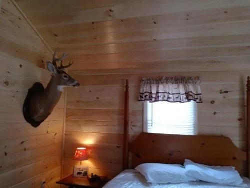 Council Cup Campground gallery 1