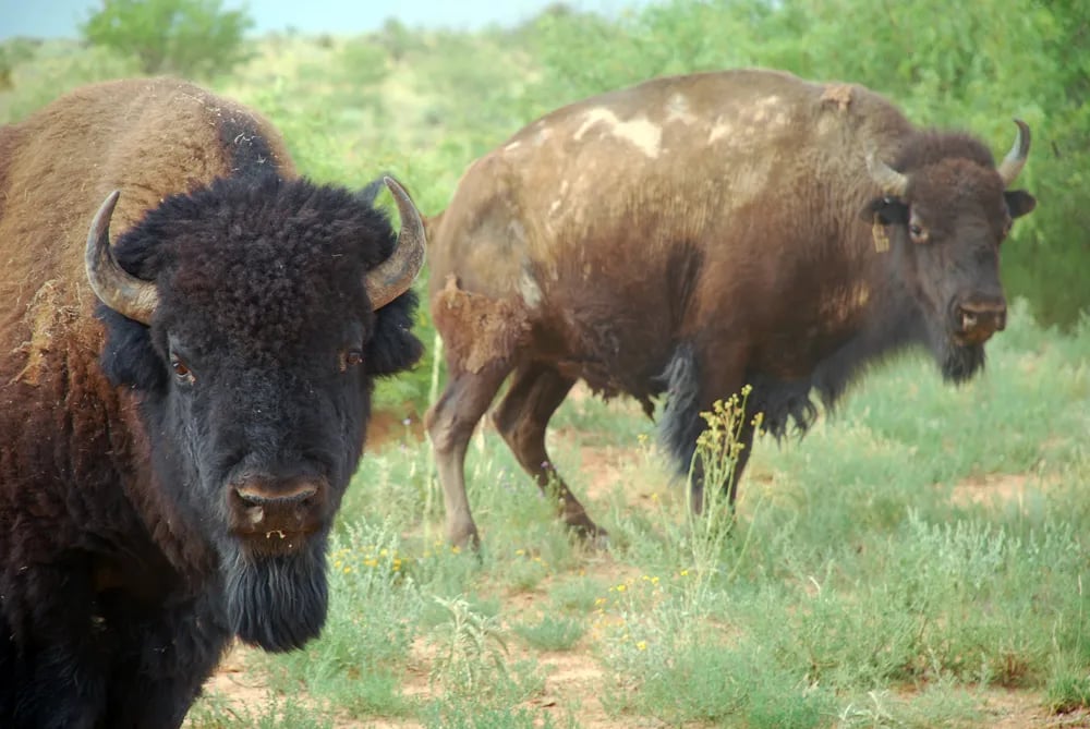 Lakeside RV Park Resort