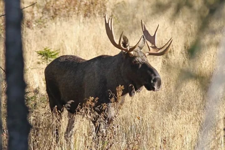 Lillehammer Camping A/s gallery 2