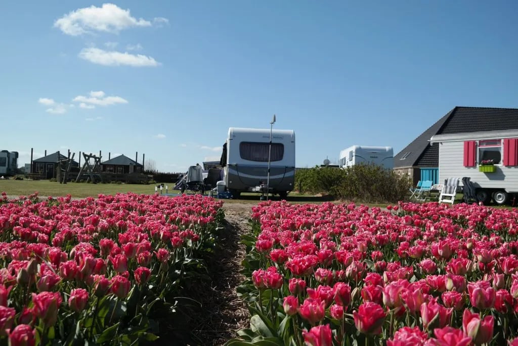 Camping Duinzoomhoeve gallery 1