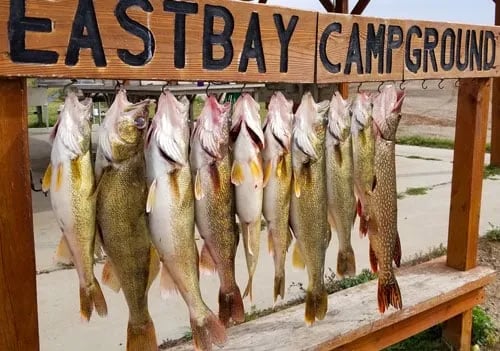 East Bay Campground gallery 3
