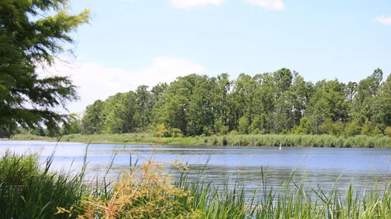 Topsail Hill Preserve State Park Campground gallery 3