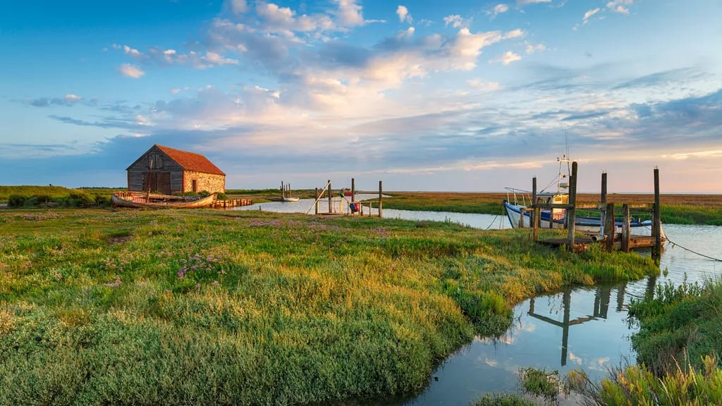 Thetford Forest Camping and Caravanning Club