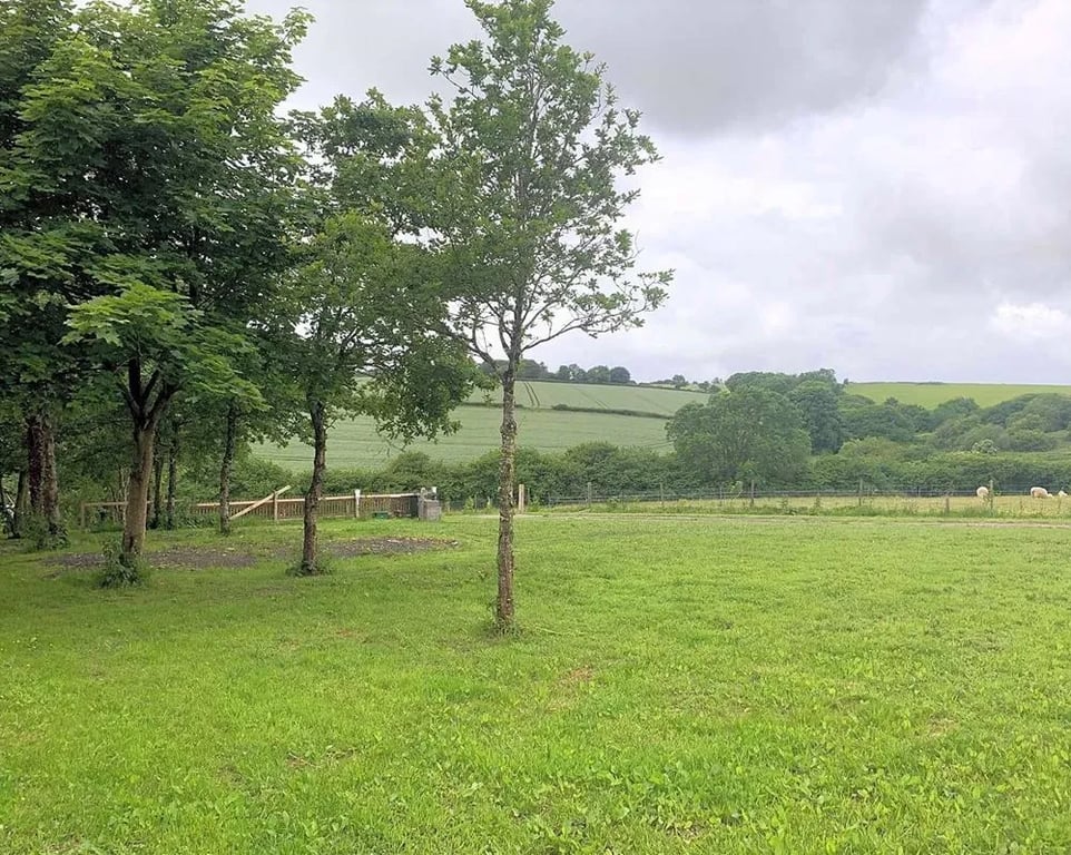 Pear Tree Farm gallery 3