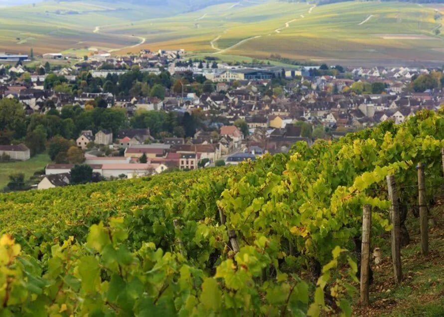 Camping Les Herlequins