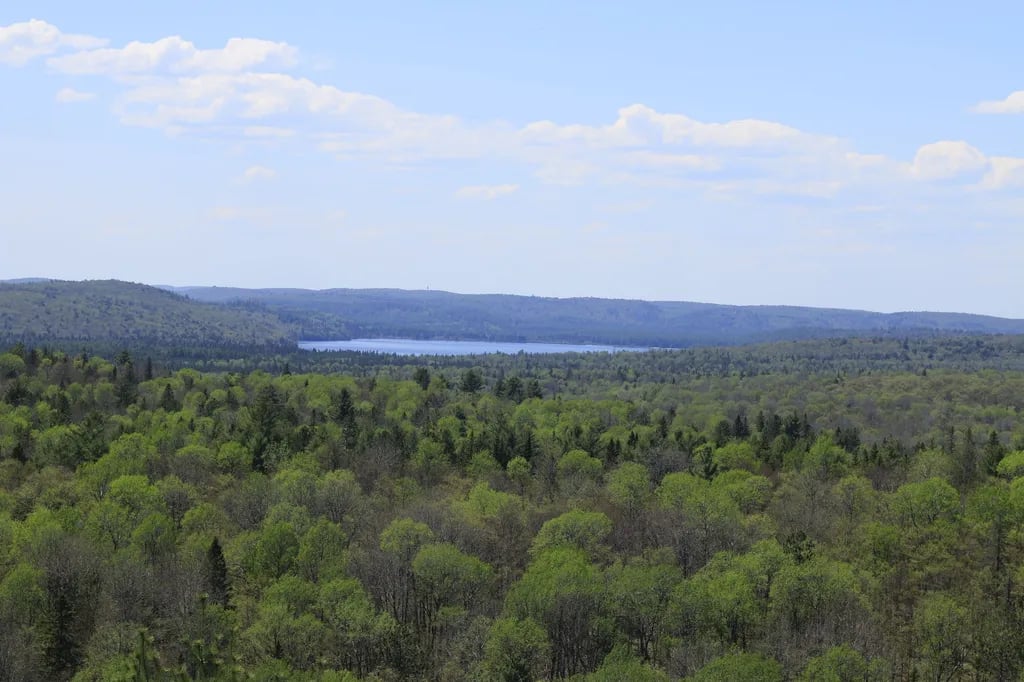 Back Forty Glamping gallery 2