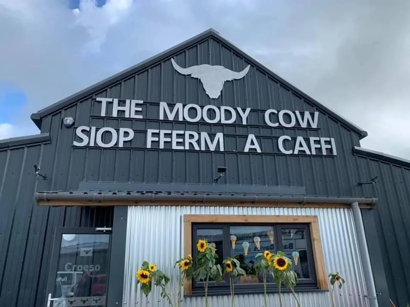 Bargoed Farm gallery 3