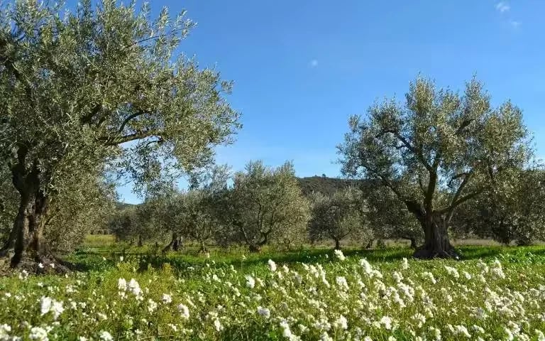 Camping Les Fouguieres gallery 1